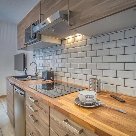 Appartamento Le Felix 2, Entierement Equipe Et Amenage Pour Accueillir Confortablement 2 Personnes, Proche De La Gare De Sur L'avenue Felix Viallet Grenoble